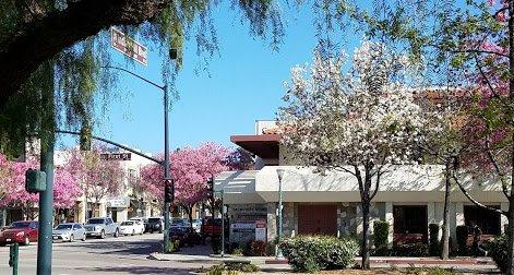 We are located in the Claremont Village.