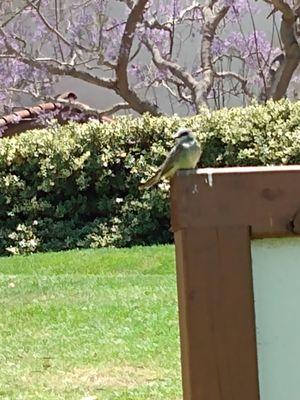 La Jolla Colony Private Park