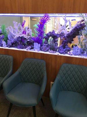 Beautiful aquarium in the waiting room.