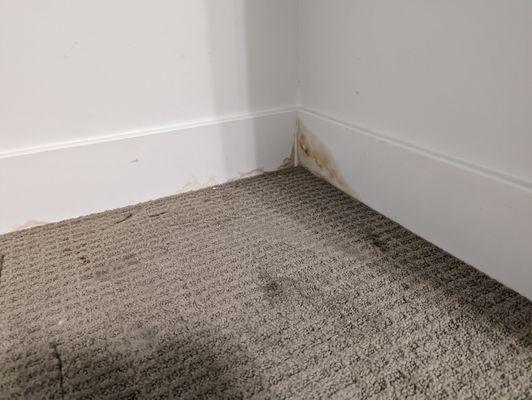 More water damage to a home that is less than a year old