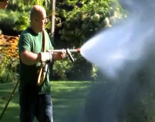 Insect Control - Tree Spraying