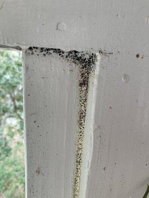 Porch mold