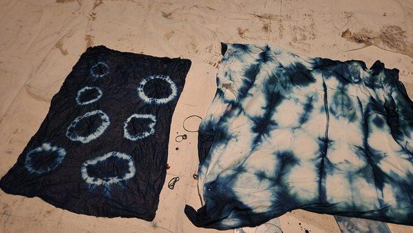 Indigo dyeing activity