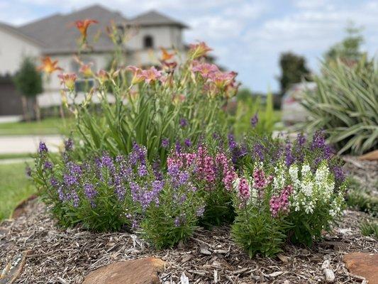 Flower Installation by DrewGreen Landscapes