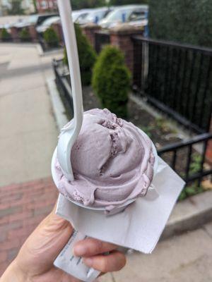 Black raspberry (second smallest scoop size)