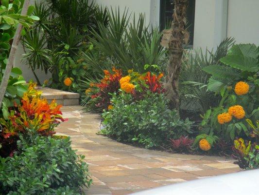 Tropical landscaping in South Florida by Matthew Giampietro