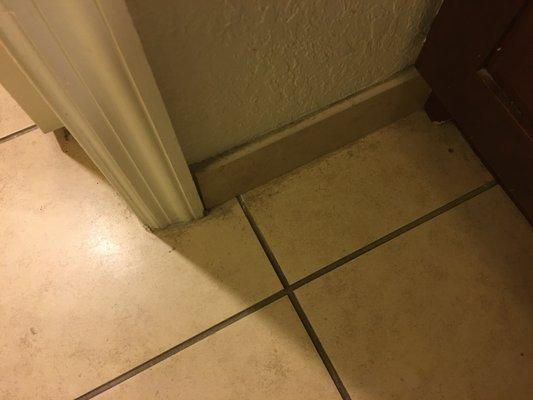 More grossness along the baseboard.