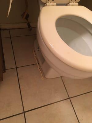 Broken toilet. (Moves when sat on)