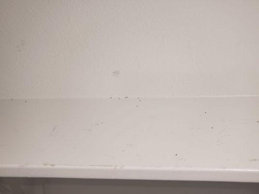 This is the worst company. Each time they come spray we get the worst ant infestation in rooms that are COMPLETELY empty.