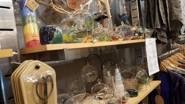 I loved these little terrariums.