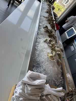 Raw Maine Oysters bar