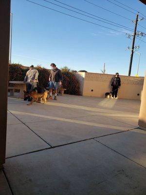 Santa Barbara Humane- Santa Maria Campus