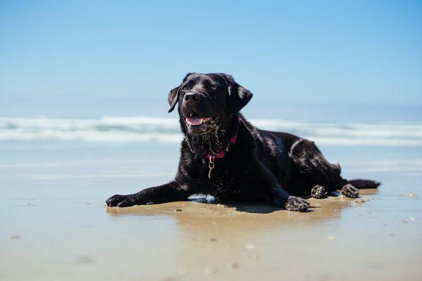 Eva at the beach