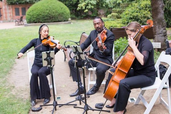 Synchronicity Strings trio performing!