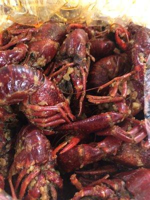 Yummy jumbo size crawfish for $7 a lb