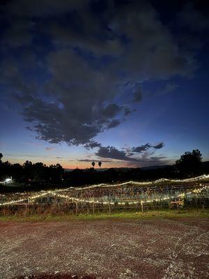 Overlook of the vineyards at night!