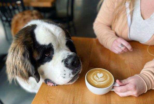 Vanilla Latte at Venn Brewing.