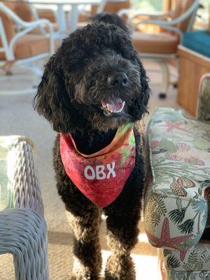 Cool handmade obx bandana that we bought at the store.