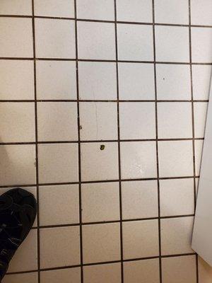 Dirty grout.