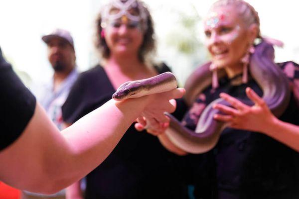 Adults are sure to enjoy the snakes as well