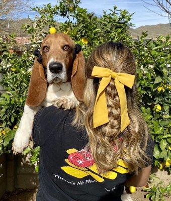 Who doesn't love puppies, scrunches and cute braids?