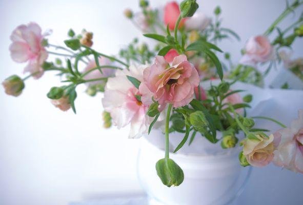 mothers day flowers. butterfly ranunculus.