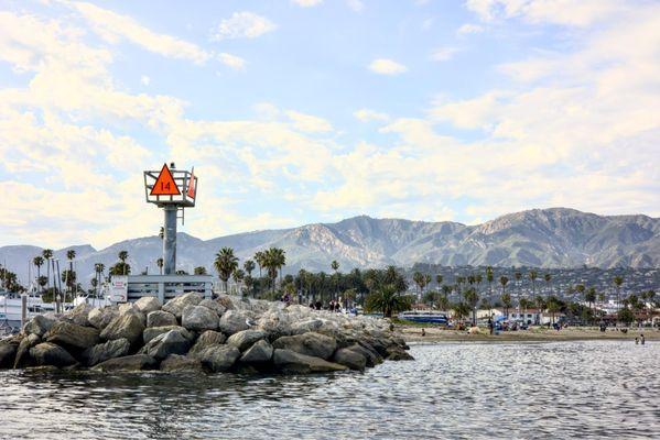 Santa Barbara Whale Watch