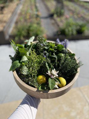 On Site Garden - Herb Harvest