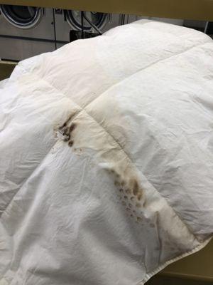 Hole in comforter dried for less than 15 minutes in dryer 52 just over a week ago