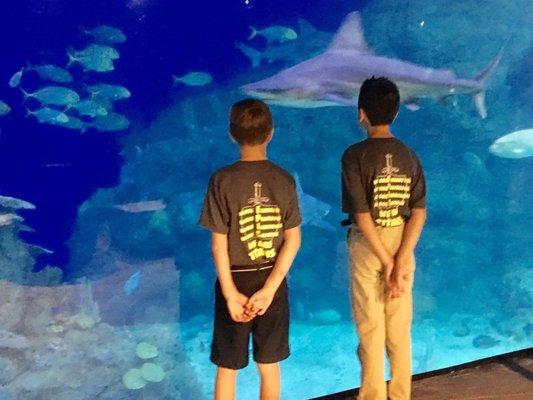 Students visiting the aquarium