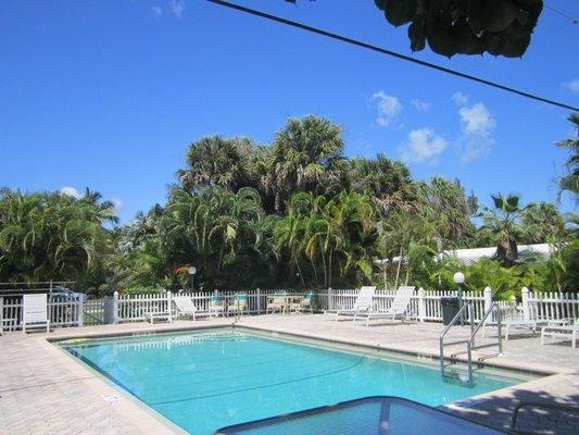 Large Heated Pool