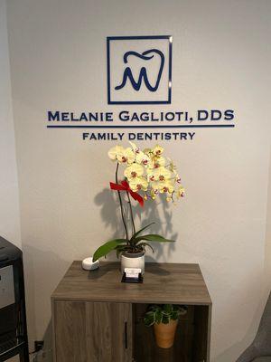 Melanie Gaglioti DDS