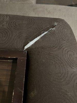 torn sofa