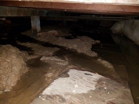 Water damage under the house