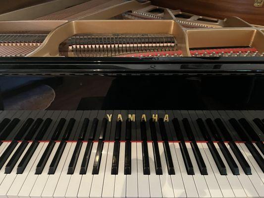 Tuning a beautiful Yamaha baby grand in Pittsburgh, PA