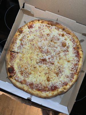 Plain cheese pizza