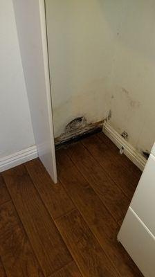 Mold found on drywall and baseboard.