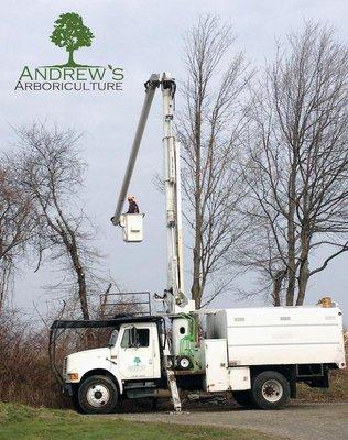 Andrew's Arboriculture