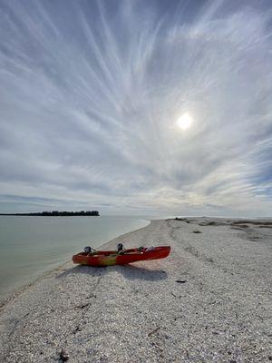 Paddled to a sandbar full of shells