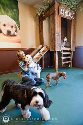 Lil' Yukon:  the perfect venue for our smaller furry friends.