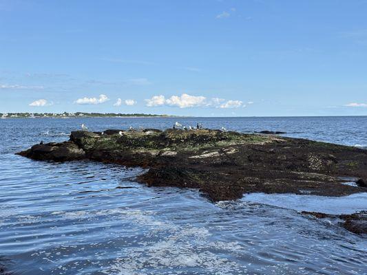 Beavertail State Park