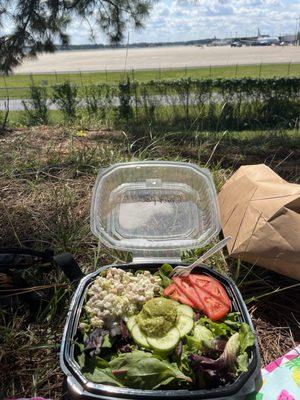 Picnic at Botanical Gardens/airport: Green Goddess Chickpea Salad Plate