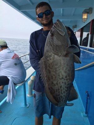 Nice Gag Grouper!!