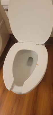 My no smoking room has a burn mark on the toilet seat