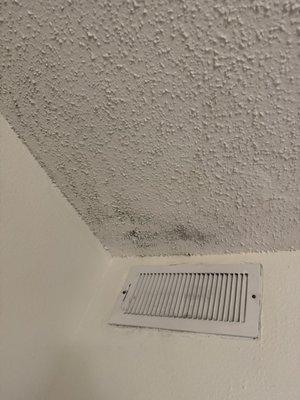 Black mold sprayed out onto the ceiling