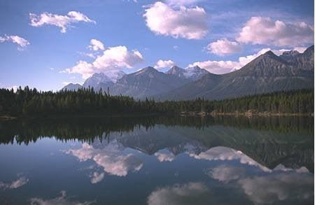 For That Cool Rocky Mountain Clean Air