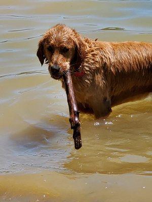 Enjoying the lake in summer!