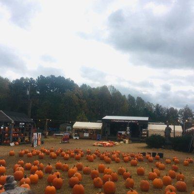 Pumpkinville