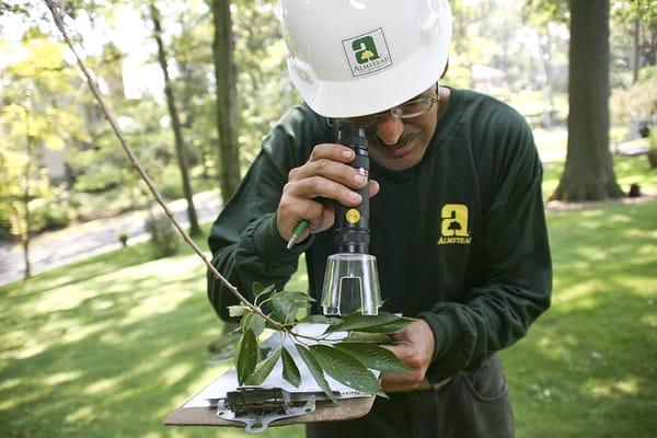 Examining leaves for insects and diseases