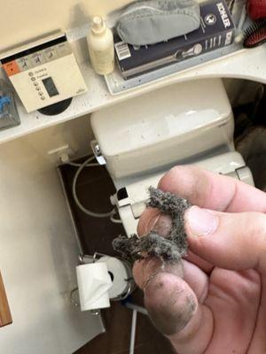 This is what is blowing out of that bathroom duct after the second cleaning.